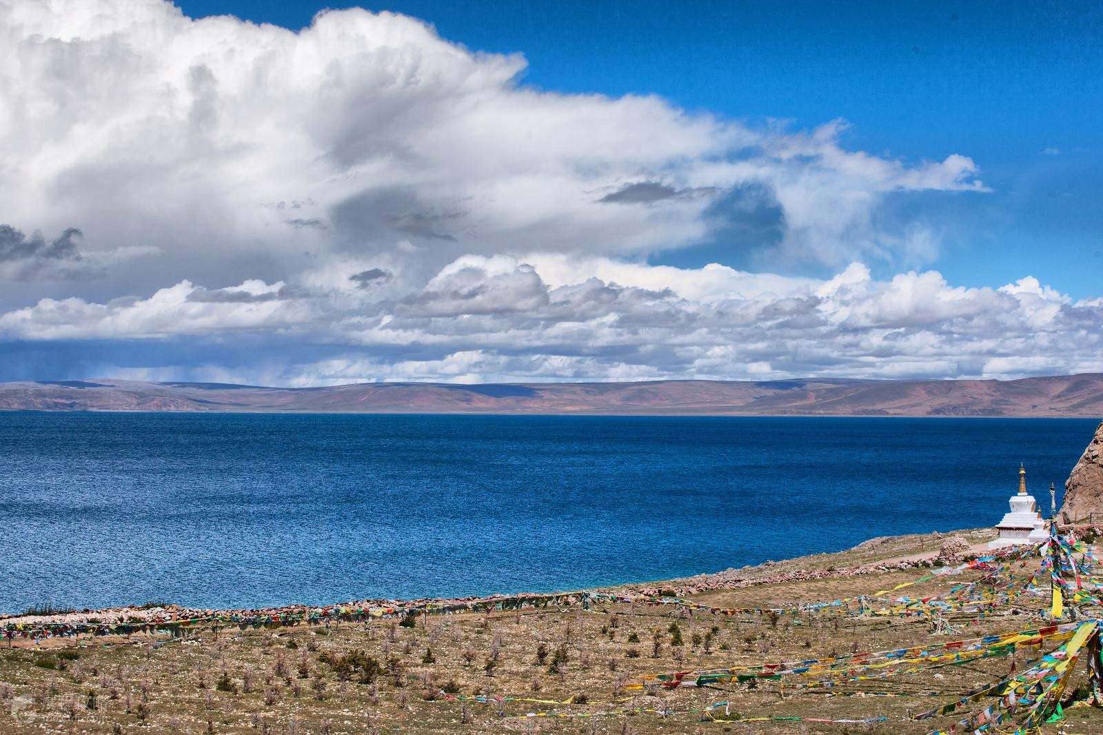 神秘高原探秘，西藏壮丽画卷之旅