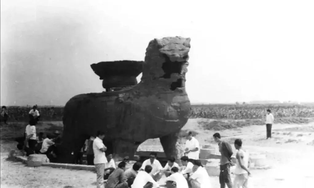 沧州自然美景探索之旅